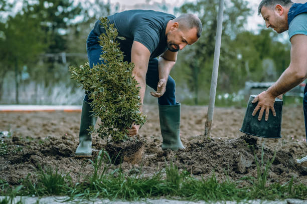 Best Soil Testing and Treatment  in Bromley, KY