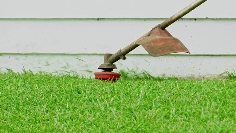 Best Aeration Services  in Bromley, KY